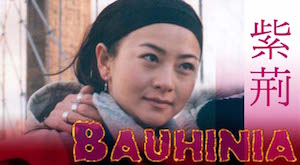 Bauhinia (Week 2)